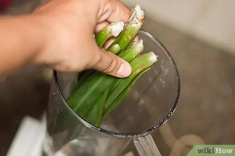 Культура Greenwater Шаг 5