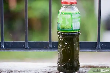 Культура Greenwater Шаг 8