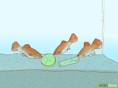 Приготовьте овощи для Молли Шаг 7