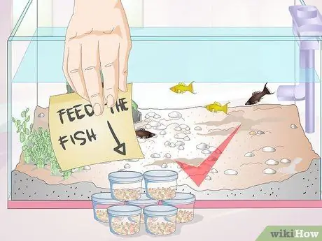 Покормить тропических рыб, шаг 10