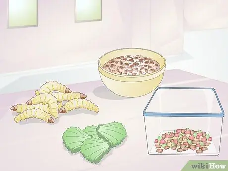 Покормить тропических рыб, шаг 3