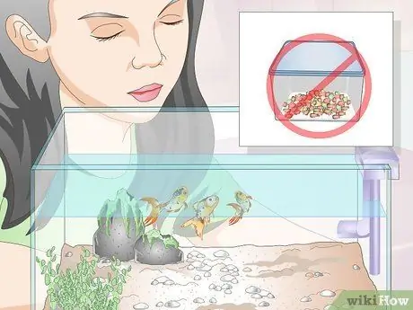 Покормить тропических рыб, шаг 6