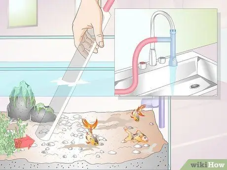 Покормить тропических рыб, шаг 7