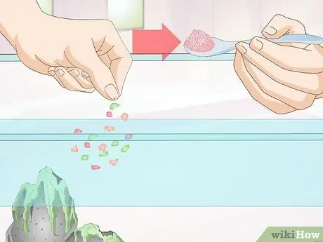 Покормить тропических рыбок Шаг 8