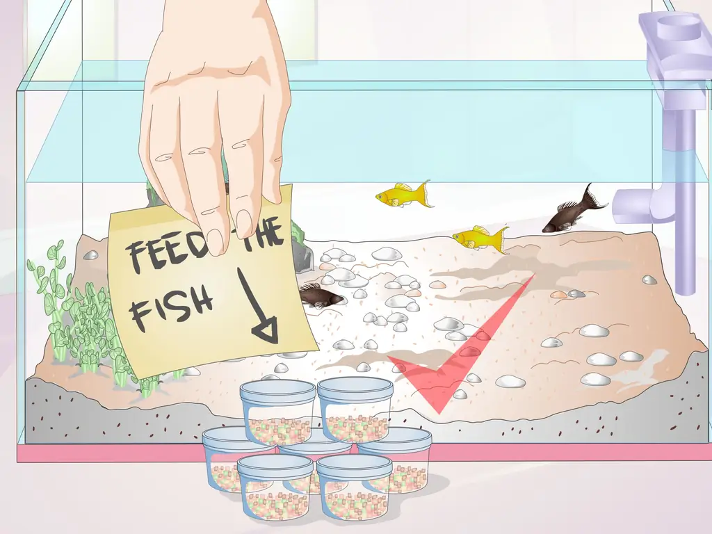 Как кормить тропических рыб: 10 шагов (с иллюстрациями)