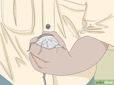 Держи сома Шаг 4