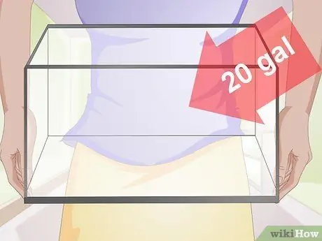 Позаботьтесь о Молли Фрай, шаг 1