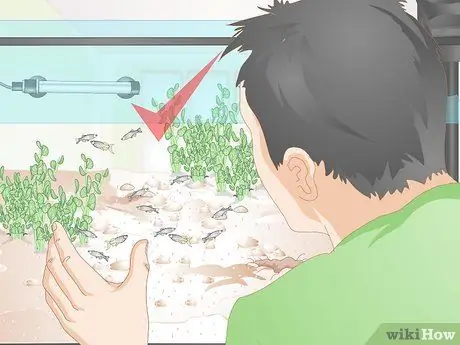 Позаботьтесь о Молли Фрай Шаг 10