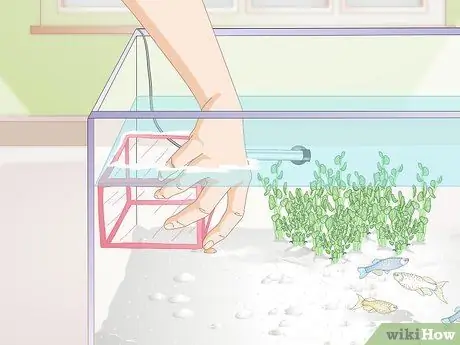 Позаботьтесь о Молли Фрай, шаг 14