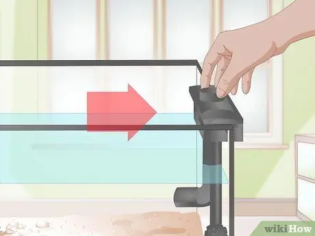 Позаботьтесь о Молли Фрай, шаг 2