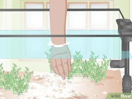 Позаботьтесь о Молли Фрай, шаг 3