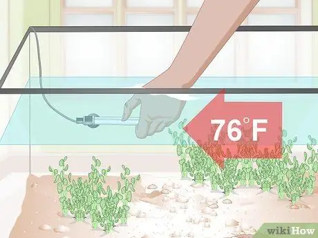 Позаботьтесь о Молли Фрай, шаг 4