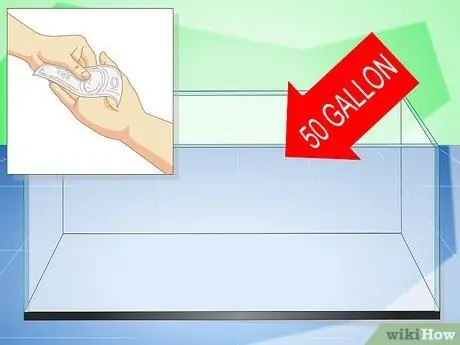 Уход за радужной акулой Шаг 1