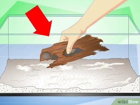 Уход за радужной акулой Шаг 3