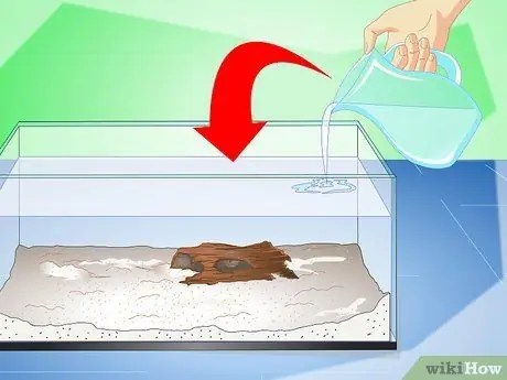 Уход за радужной акулой Шаг 4