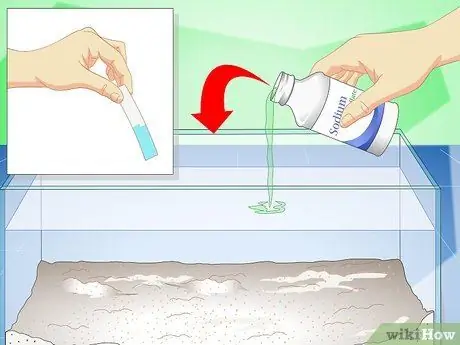 Уход за радужной акулой Шаг 5