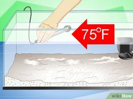 Уход за радужной акулой Шаг 7