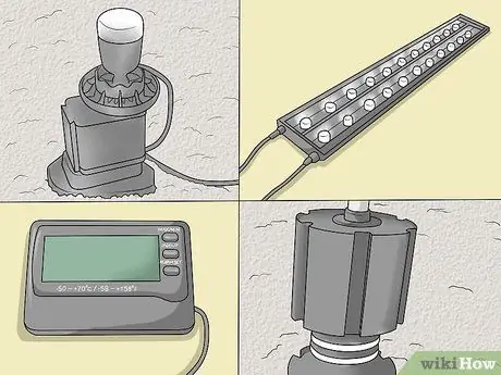 Уход за зеброй Даниос Шаг 4