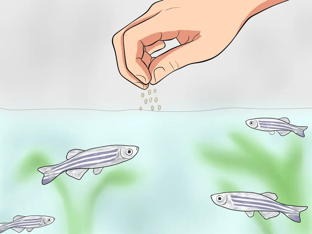 Как ухаживать за зеброй Данио: 9 шагов (с иллюстрациями)