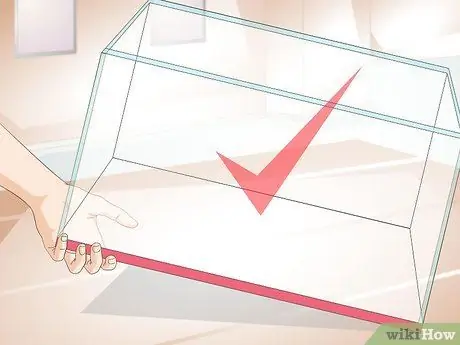 Уход за пираньями Шаг 1