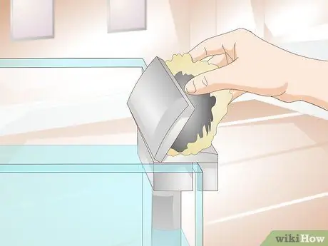 Уход за пираньями Шаг 7