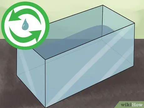 Keep Tiger Barbs Шаг 11