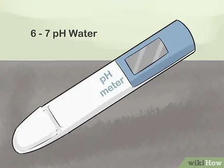 Keep Tiger Barbs Шаг 12