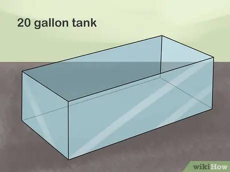 Держать тигровые шипы, шаг 2