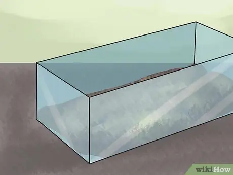 Держать тигровые колючки, шаг 3