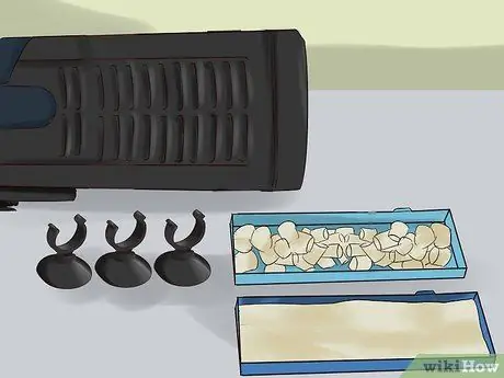 Keep Tiger Barbs Шаг 5