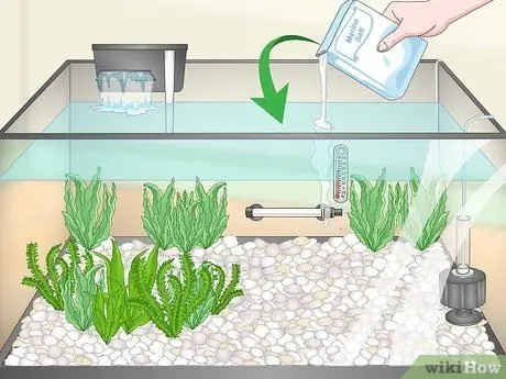 Покупка рыбы-фугу и уход за ней Шаг 10