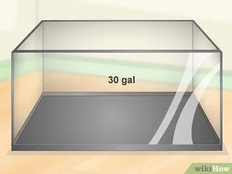 Покупка рыбы-фугу и уход за ней Шаг 5