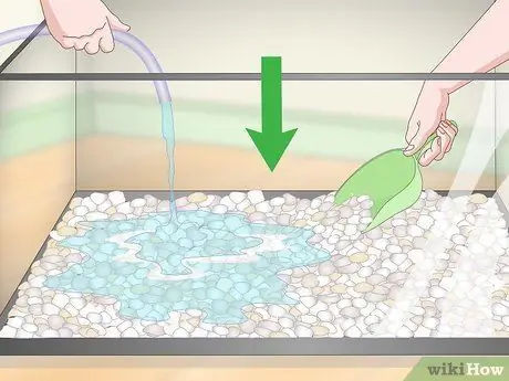 Покупка рыбы фугу и уход за ней Шаг 6