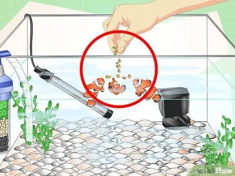 Устранение мутной воды в аквариуме, шаг 16