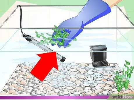 Устранение мутной воды в аквариуме, шаг 2