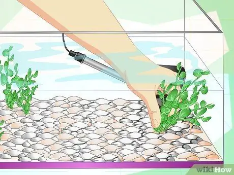 Устранение мутной воды в аквариуме, шаг 9