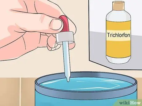 Вылечить двуустку у золотой рыбки Шаг 12