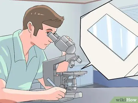 Вылечить двуустку у золотой рыбки, шаг 2