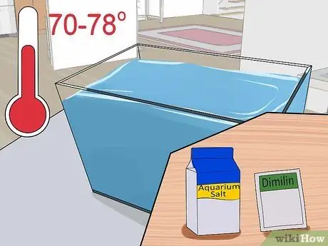 Вылечить двуустку у золотой рыбки Шаг 3