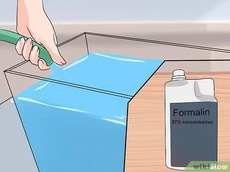 Вылечить двуустку у золотой рыбки Шаг 6