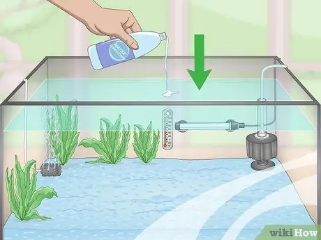 Держите золотую рыбку счастливой и здоровой Шаг 6