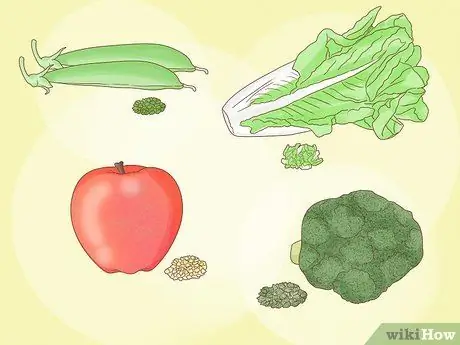 Покормить золотую рыбку Шаг 5