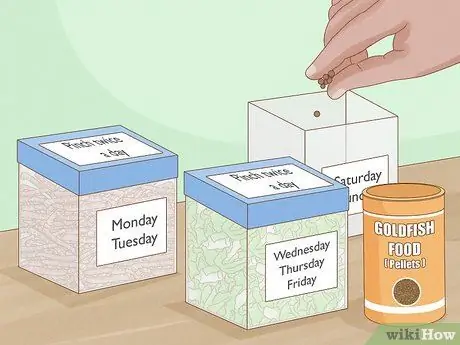 Покормить золотую рыбку Шаг 9