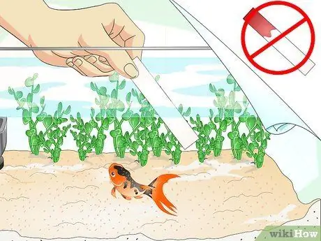 Выявление болезней аквариумных рыбок Шаг 4