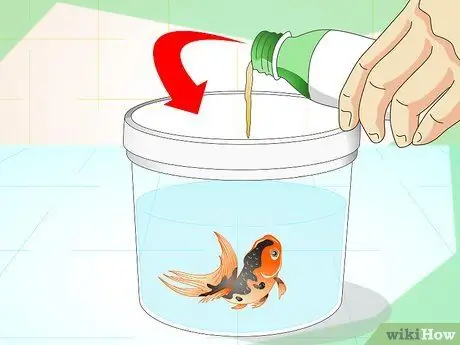 Выявление болезней аквариумных рыбок Шаг 7