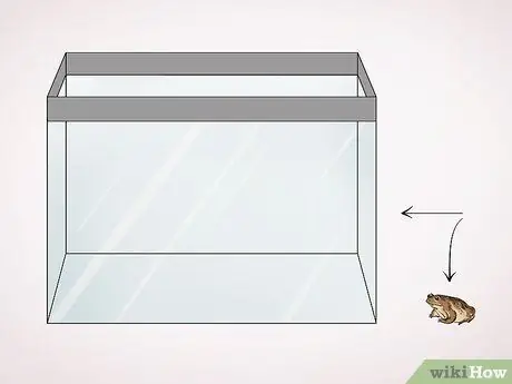 Уход за жабой Шаг 1