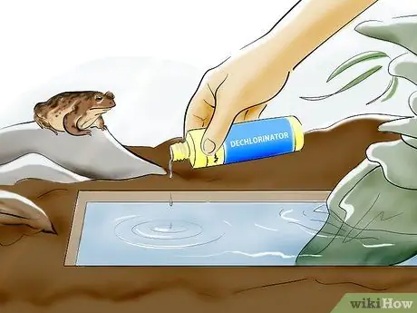 Уход за жабой Шаг 11