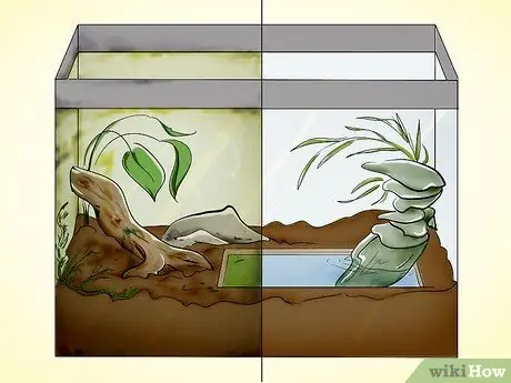 Уход за жабой Шаг 15
