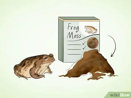 Уход за жабой Шаг 2