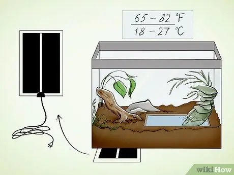 Уход за жабой Шаг 5